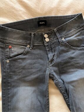 Hudson Jeans Women’s Gray Skinny Jeans